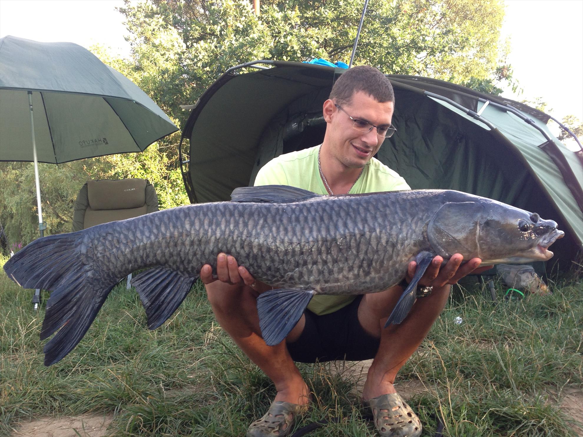 Tocile 2 - img1527.JPG